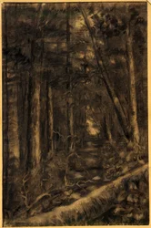 Landscape with Path through Forest