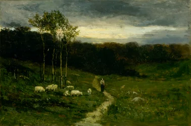 Woman Walking Down Path