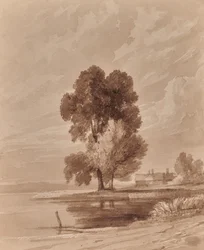 Landscape with trees