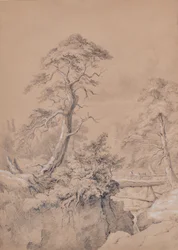 Landscape with wooden bridge