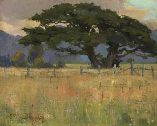 A Meadow beneath Mountains