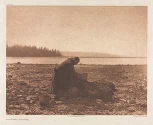 The Mussel Gatherer