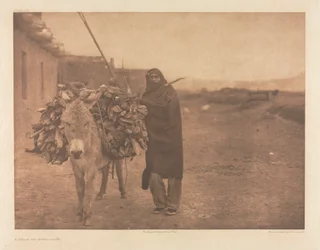Portfolio XVII, Plate 608: A Load of Fuel - Zuñi