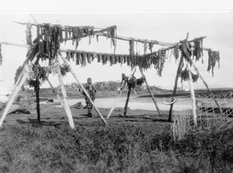 An Eskimo man standing under a structure with whale meat hanging to dry, c.1929