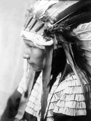 Cheyenne girl, The Daughter of Bad Horse (profile), photo Edward S. Curtis