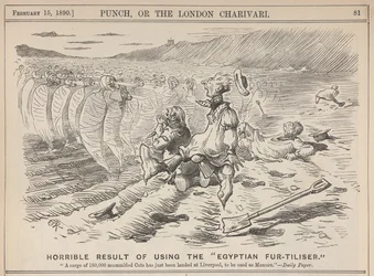 Horrible Result of Using the 