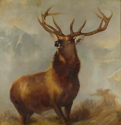 Monarch of the Glen