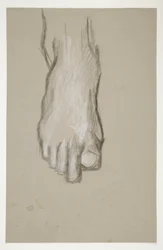 Sketch of a Foot