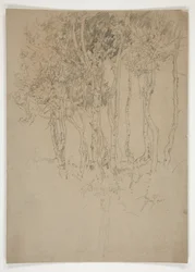 Sketch of a Grove of Trees