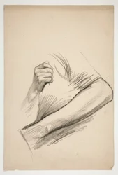 Sketch of an Upper Torso