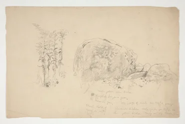 Sketches of Rocks, Weeds