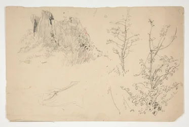 Sketches of Trees