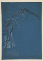 Study of Tree Branches