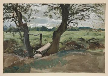 Study of Two Trees and a Field