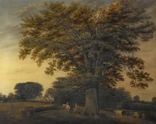 The Binley Oak, 1848