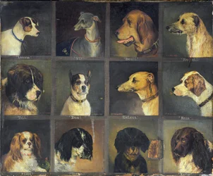 Twelve Favourite Dogs, 1883