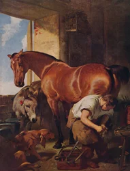 Shoeing