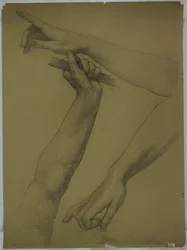 Three Studies of Arms