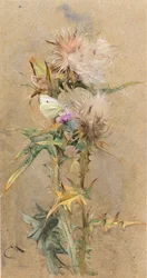 Thistles and Butterfly