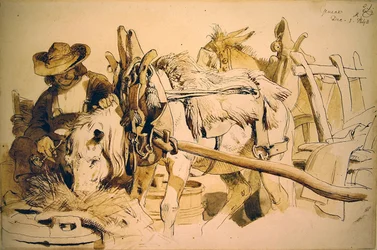 A pony and cart in Geneva