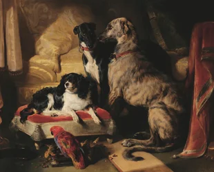 Hector, Nero, and Dash with the parrot, Lory