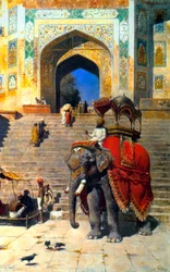Royal Elephant at the Gateway to the Jami Masjid, Mathura
