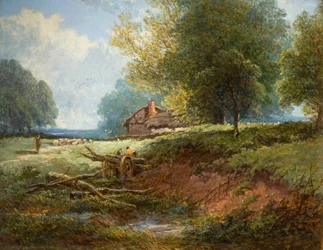 Meadow Scene
