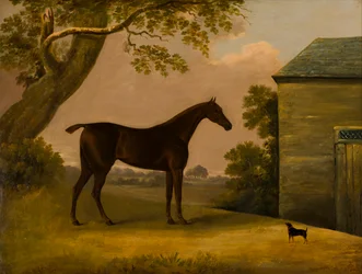 Bay Hunter and a terrier outside a stable
