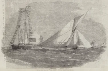 Royal Harwich Regatta, The Amazon Winning the Commodore