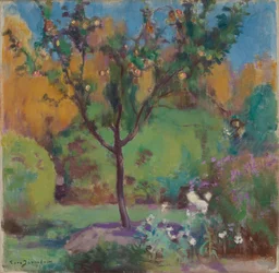 Apple Tree