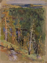 Forest Landscape