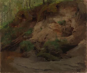 Forest with a Sandy Slope
