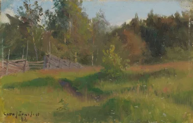 Meadow and Fence