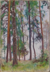 Pines