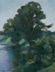 Trees by the Water
