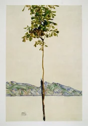 Little Tree - Chestnut Tree at Lake Constance