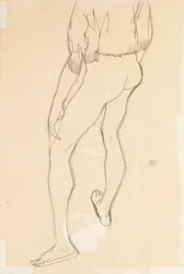 Standing Male Nude