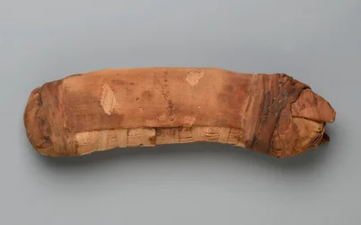 Mummy of a Cat