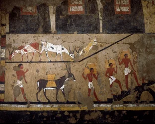 Egyptian Antiquity: The Transport of Wheat on the Back of Mules and on the Back of Slaves. Fresco of the Tomb of Queen Neferou III. 12th Dynasty. 2200-2000 BC. From El Ghebelen. Turin, Egyptian Museum