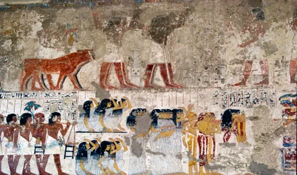 Egyptian antiquity: bearers of offerings and weeping. Fresco of the Tomb of the Vizir Ramose (18th dynasty). Luxor, West Bank, Valley of the Nobles Egypt - Ancient Egypt: offering bearers and mourners. Fresco from the Tomb of the Vizier Ramose (18th dynast