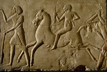 Egyptian Antiquity: Warrior on Horseback. Relief from a Grave of a High Dignitary. 1354-1346 BC. 18th Dynasty. Bologna, Civico Museo Archeologico
