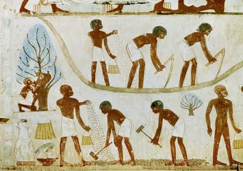 Farmers Breaking Ground, Sowing, and Ploughing