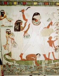 Fishing and fowling in the marshes, detail from the Tomb Chapel of Menna, New Kingdom