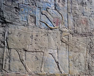 Goddess Hathor in Form of Sacred Cow, Painted Relief, Chapel of Hathor, Mortuary Temple of Queen Hatshepsut, also Known as Djeser-Djeseru, Deir el-Bahri, Thebes
