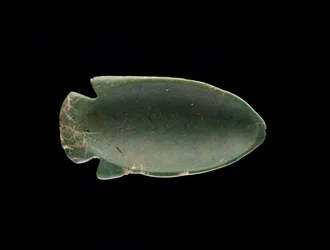 Inside of a Fish-Shaped Dish