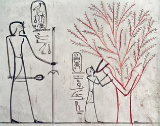 Isis Metamorphosed into a Sycamore Tree Suckling Tuthmosis III