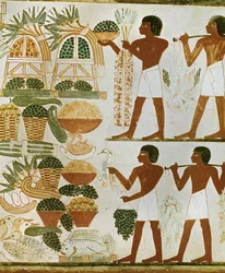 Men carrying fruit and food for the deceased