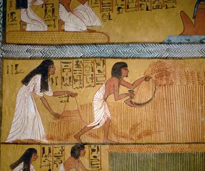 Peasant couple harvesting