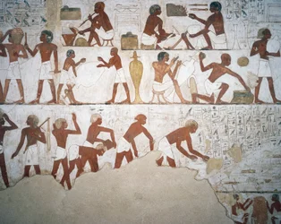 Potters and Workers