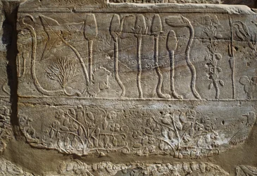 Relief of Animals and Plants Offered to Amun by Thutmose III upon His Return from Campaign of Syria in 1465 BC, Botanical Garden Room, Karnak, Theban Necropolis, Luxor, Egypt, New Kingdom, Dynasty XVIII